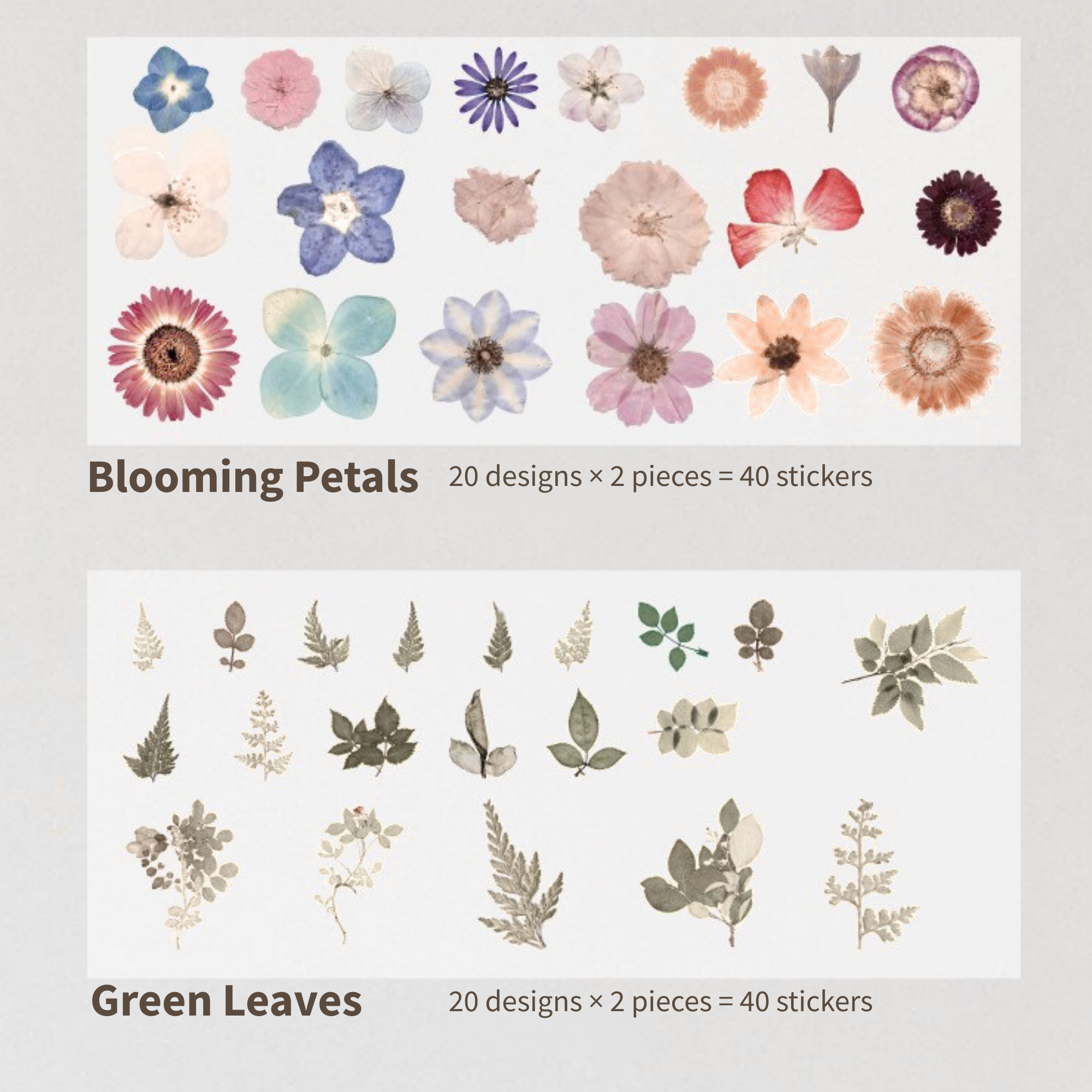 Whisper of Time Stickers – 40pcs in 1 Pack